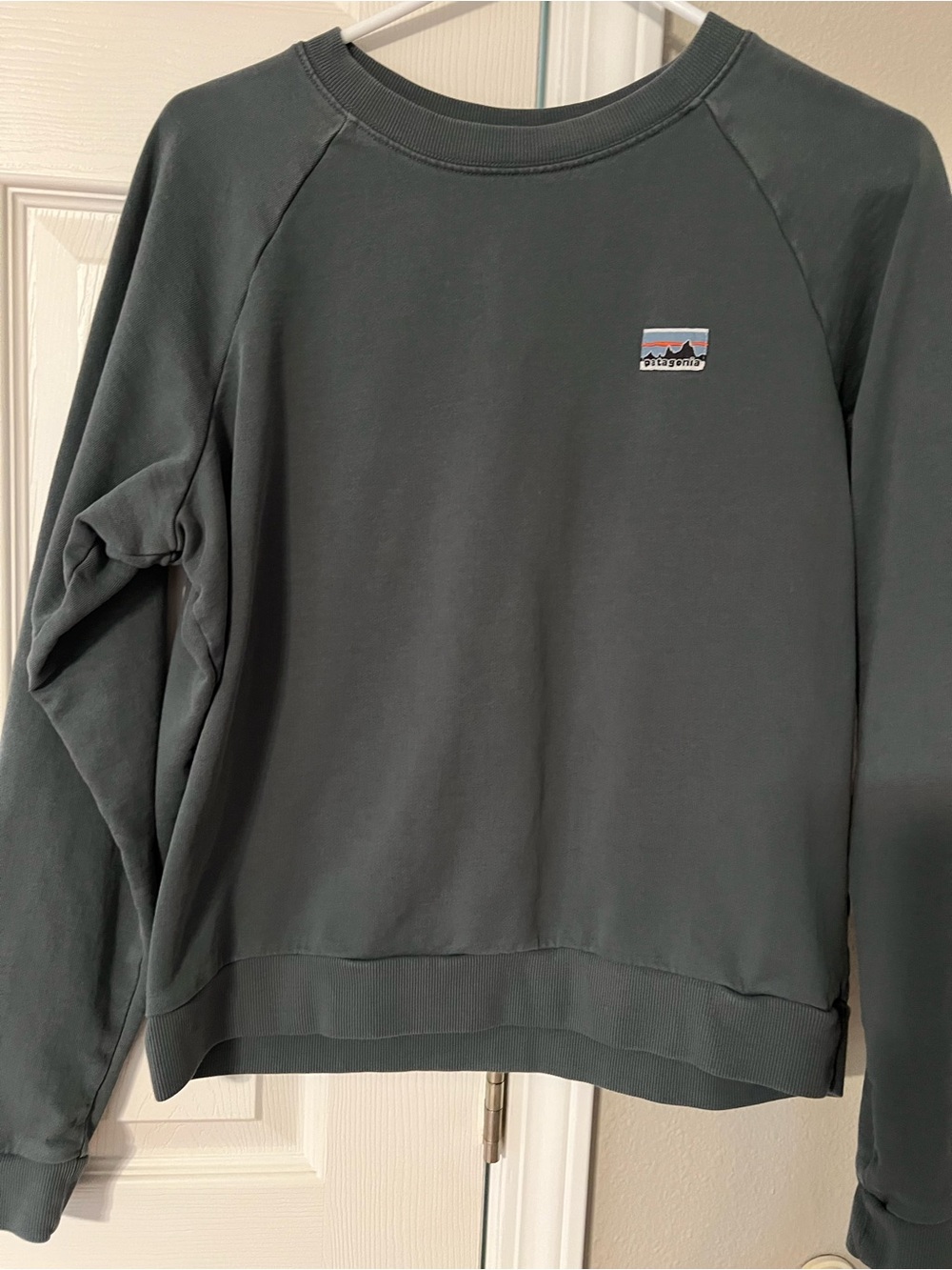 Patagonia Pullover Sweatshirt in Olive Green with Logo Patch
